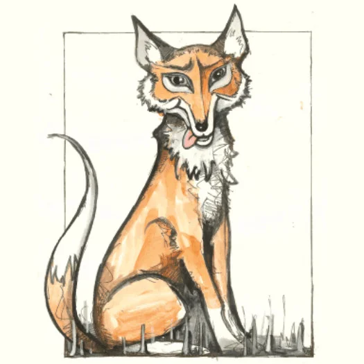 Race Night – 7th February 2026