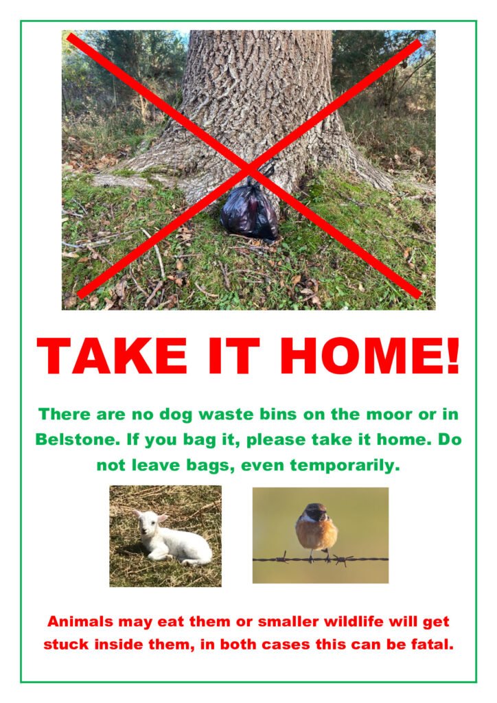 Dog Waste Poster