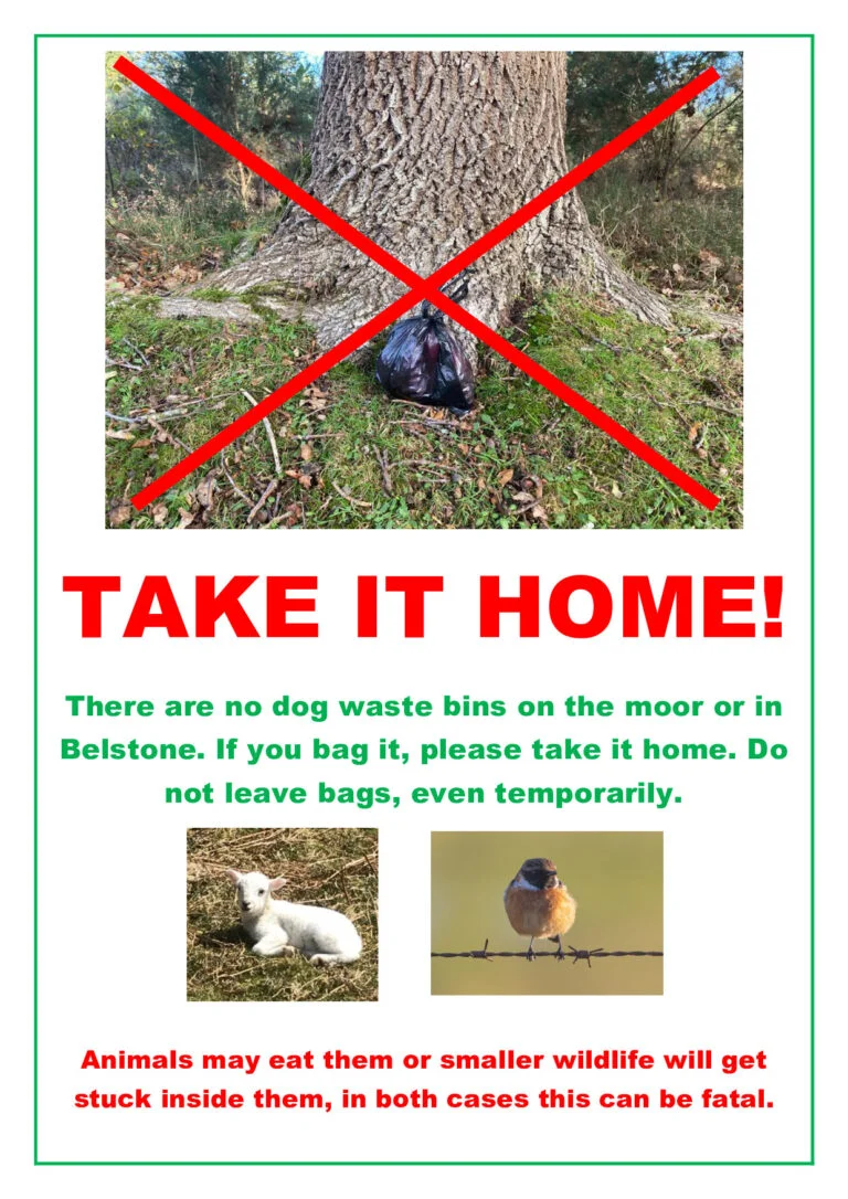 Dog Waste Poster