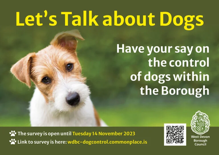 Let's Talk About Dogs
