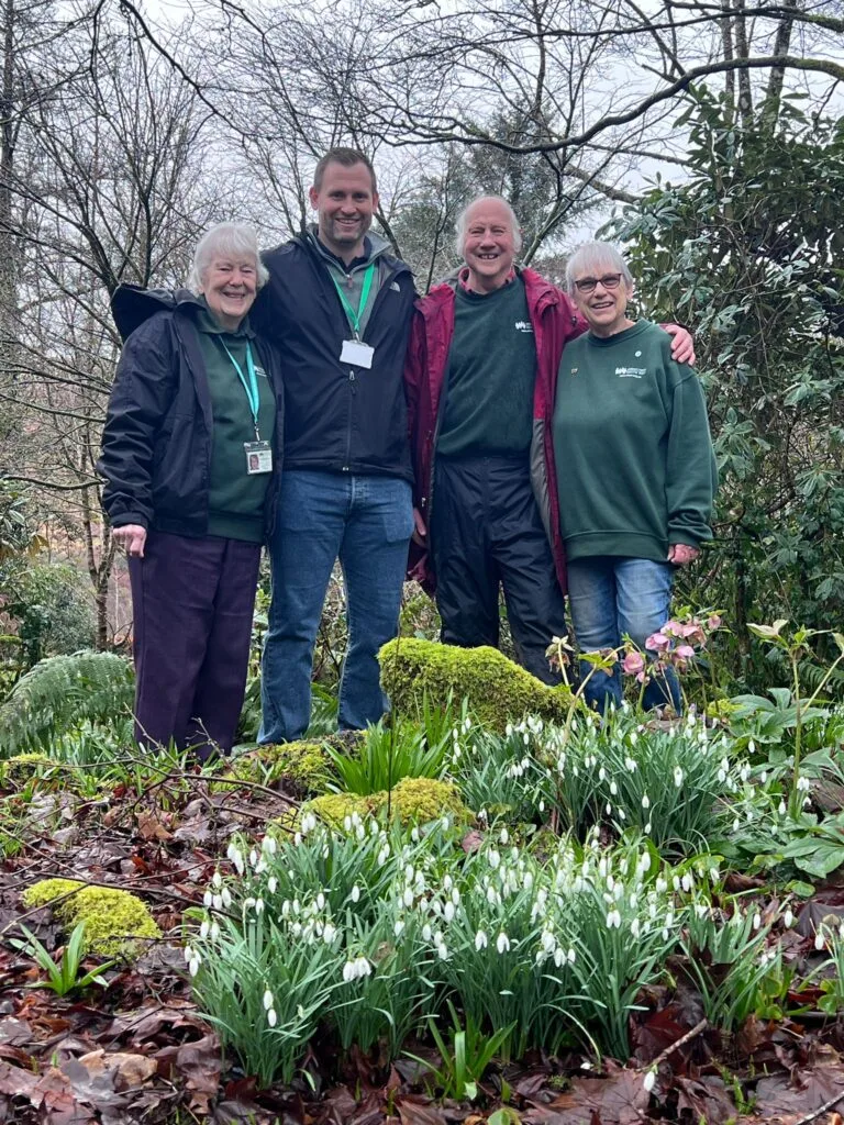 Soggy Snowdrop Sunday Still Super Successful!